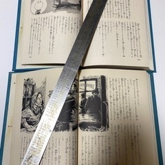 カラー名作 少年少女世界の文学　2冊セットの画像