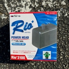 Rio3100＋