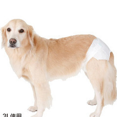 ペット用🐶介護おむつ 大型犬3Lの画像