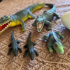 ワニ色々まとめて(西野まで)の画像
