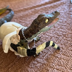 ワニ色々まとめて(西野まで)の画像