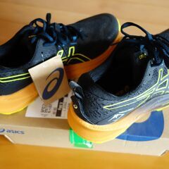 トレイルランニングシューズ