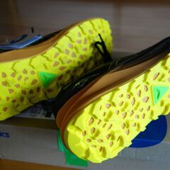 トレイルランニングシューズの画像