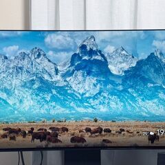 4K 有機ELテレビ BRAVIA  A90J 55インチ