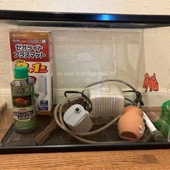 ニッソー　40cm水槽+アルファ
