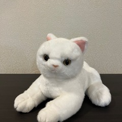 ふわふわ 触り心地の良い 子猫 ぬいぐるみ