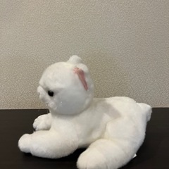 ふわふわ 触り心地の良い 子猫 ぬいぐるみの画像
