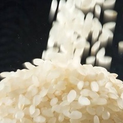 米 30キロ×4 (年間)