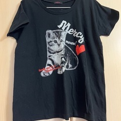 猫　キャッツ　Tシャツ　Mサイズ