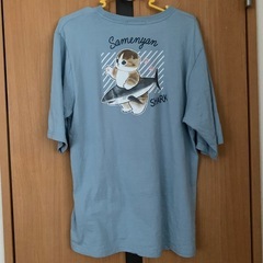 半袖 Tシャツ Mサイズ  mofusand サメにゃんの画像