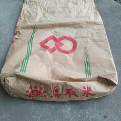 きぬむすめ　玄米30キロの画像