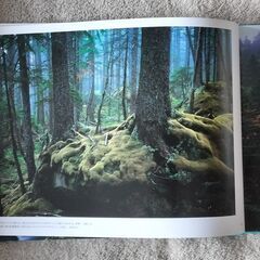 【森林日本 石橋睦美】自宅まで取りに来てくれる方！の画像