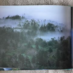 【森林日本 石橋睦美】自宅まで取りに来てくれる方！の画像