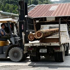 【未経験可、副業可、週２～】福岡県八女市で製材業の補助スタッフ募集の画像