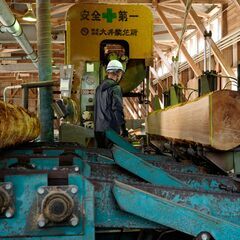 【未経験可、副業可、週２～】福岡県八女市で製材業の補助スタッフ募集の画像