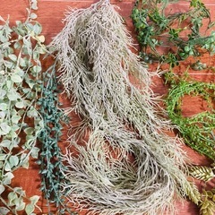 フェイクグリーンの画像