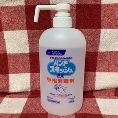 手指消毒 ハンドスキッシュEX 800ml