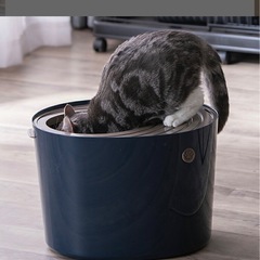猫用トイレ　新品未使用