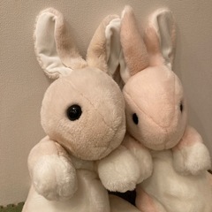 うさぎ おおきいぬいぐるみの画像