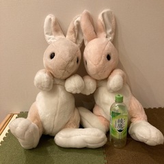 うさぎ おおきいぬいぐるみの画像