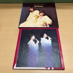 ザ・ピーナッツ 「 不滅のザ・ピーナッツ 」 LP５枚組BOX SET（レコード）の画像