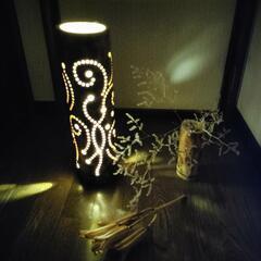 竹灯り　虫の輪舞【ロンド】舞い　bamboo light　
