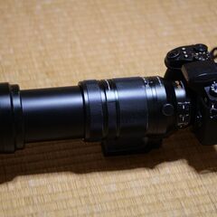 【LUMIXユーザー必見！】LEICA DG VARIO-ELMAR 100-400mm/F4.0-6.3 ASPH./POWER O.I.S.