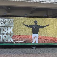 千葉ロッテマリーンズファン − 千葉県