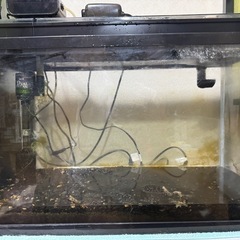 決まりました！60cm水槽2つセット★ 濾過器（ろかき）付き の画像