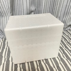 発泡スチロール製の箱　0円