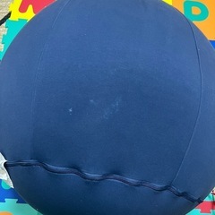 タイムセール❗️
ヨギボーの画像