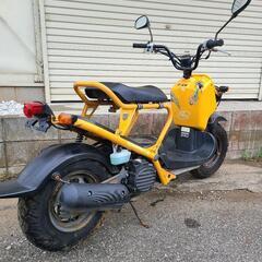 ホンダ　ズーマー　ZOOMER　低走行‼️　バッテリー新品千葉県流山市　配達可の画像