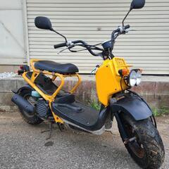ホンダ　ズーマー　ZOOMER　低走行‼️　バッテリー新品千葉県...