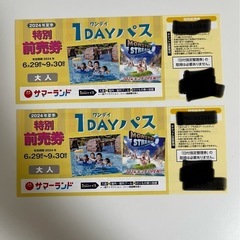 【9/30まで】サマーランド1Dayパスチケット　2枚セット