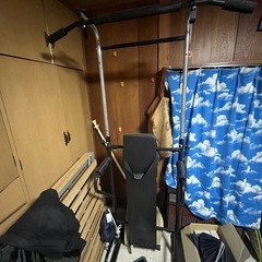 ぶら下がり健康器 懸垂器 ぶら下がり器  