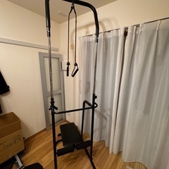 アルインコ(ALINCO) マルチ懸垂マシン ぶら下がり健康器 ...