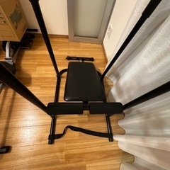 アルインコ(ALINCO) マルチ懸垂マシン ぶら下がり健康器 FA917 シットアップベンチ エクササイズロープ 高さ調節機能付の画像