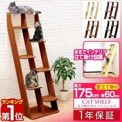 キャットタワー　超美品です。の画像