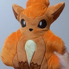 決まりました　未使用　ポケットモンスター　コロン　ぬいぐるみ