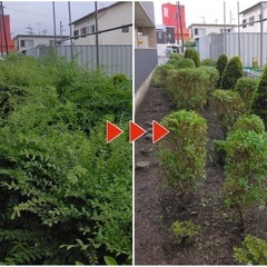 【週払い可】 アパートやマンションの植栽管理 【寮完備】