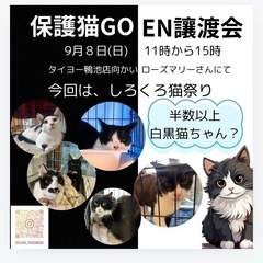 保護猫のためのGO-EN讓渡会