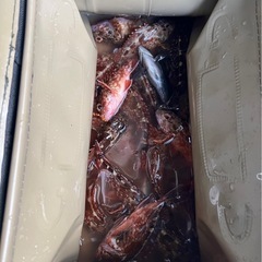 釣り − 島根県