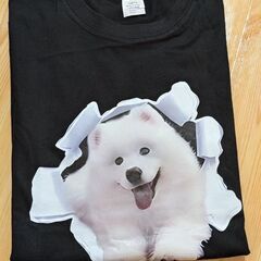 サモエド/プリントTシャツ（新品）2XL