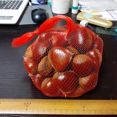 栗(^-^)🌰