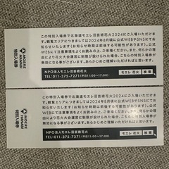 モエレ沼芸術花火大会　2名　チケットの画像