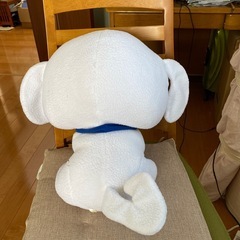 保護犬”しろ“ブサ可愛い　春日部出身の画像