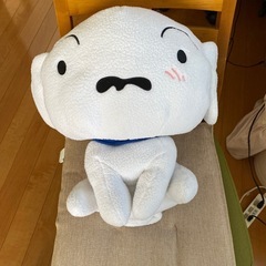 保護犬”しろ“ブサ可愛い　春日部出身の画像