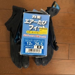 力王 エアーたびフィットの画像