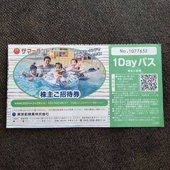 東京サマーランド 株主招待券 1Dayパス