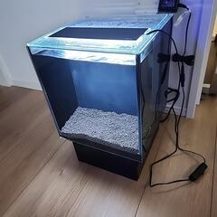 水槽  グラステリアアグス